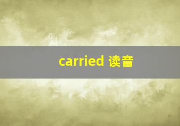 carried 读音